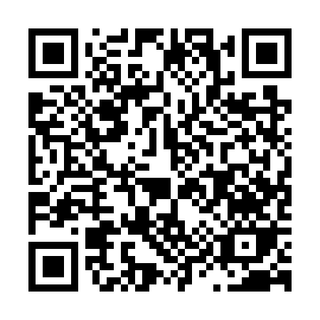 QR code for L917R