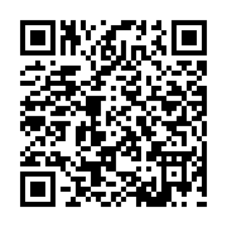 QR code for L917U