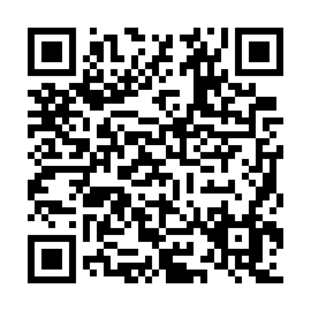 QR code for L917V