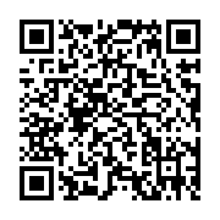 QR code for L919X