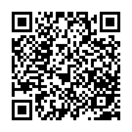 QR code for L920X