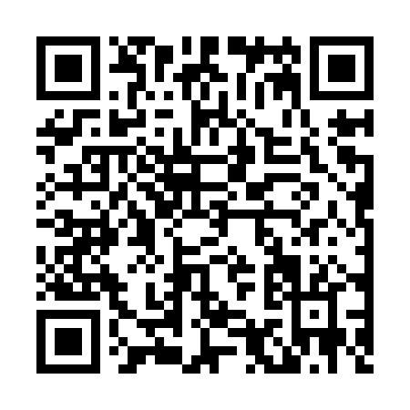 QR code for L929P
