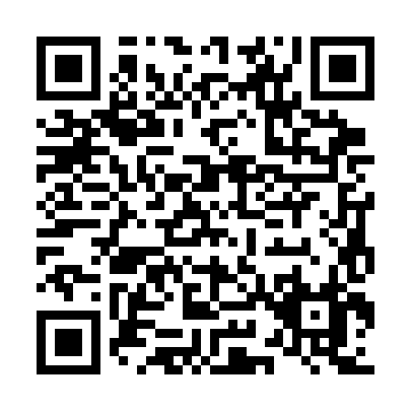 QR code for L933H