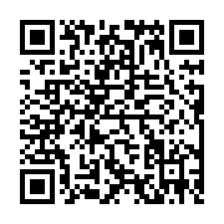 QR code for L938H