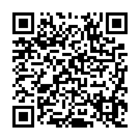 QR code for L946V