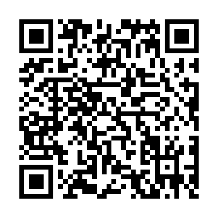 QR code for L953G