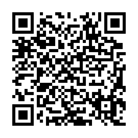 QR code for L953V