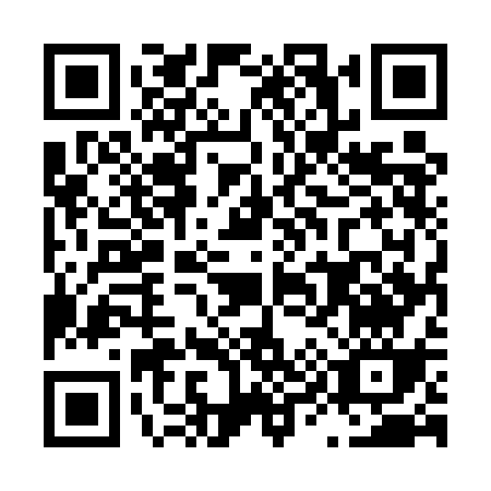 QR code for L955C