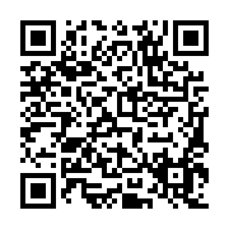 QR code for L955T