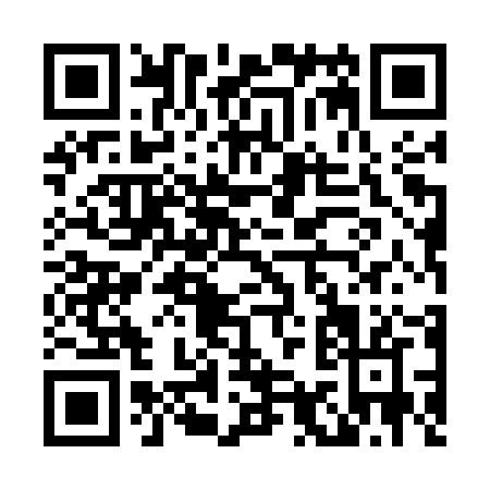 QR code for L955Z