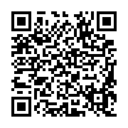QR code for L957L