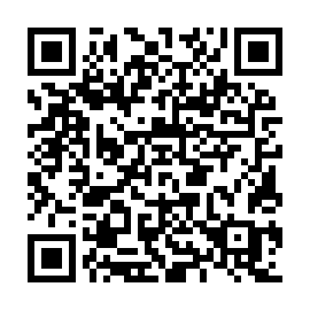 QR code for plate L95 9TC