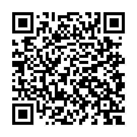 QR code for plate L96 0HG