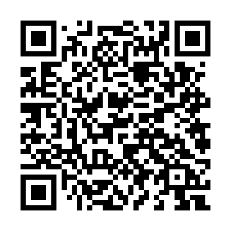 QR code for plate L96 5RC