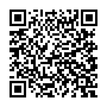 QR code for plate L96 8NV