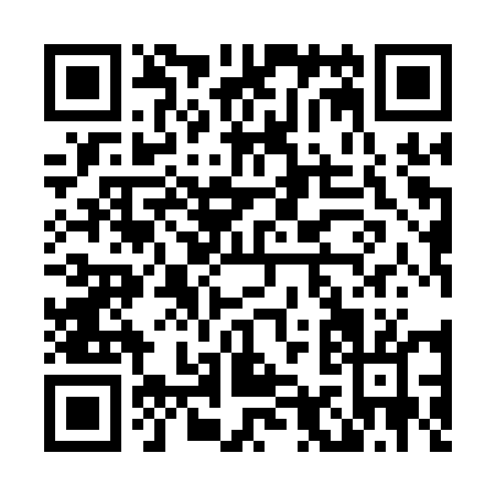 QR code for L991U