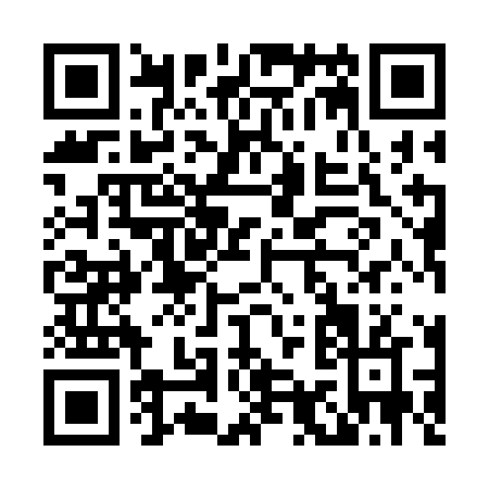 QR code for L993N