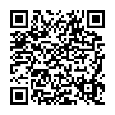 QR code for L993V