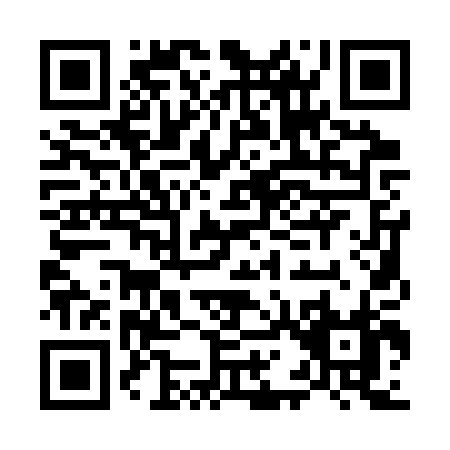 QR code for M113P