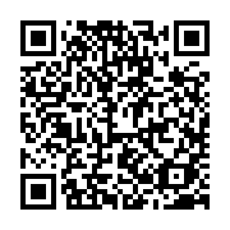 QR code for M229PI