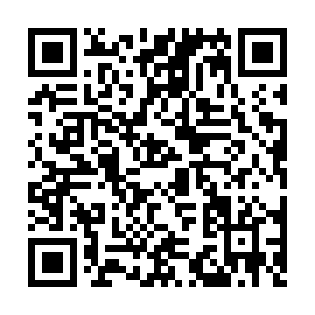 QR code for M317P