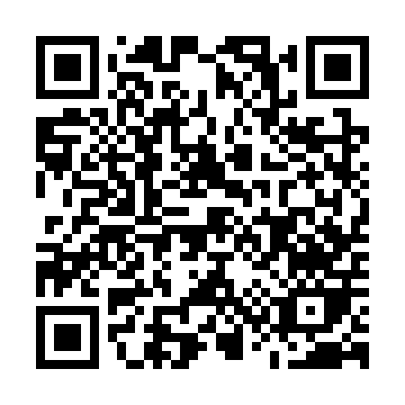QR code for M333P