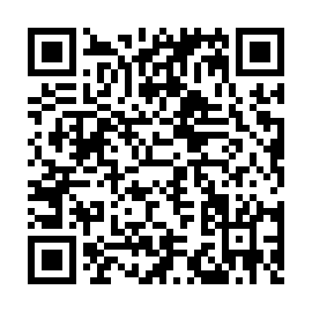 QR code for M381Q
