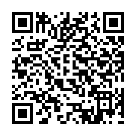 QR code for M383T