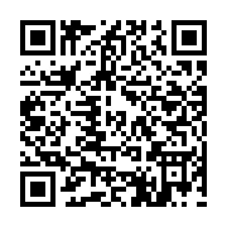 QR code for M411E