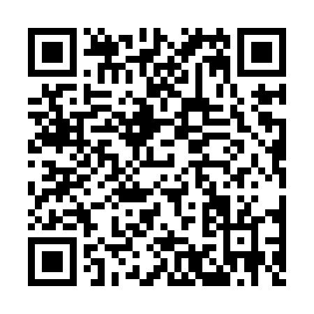 QR code for M919T