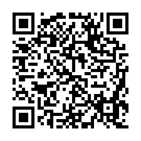QR code for N011W