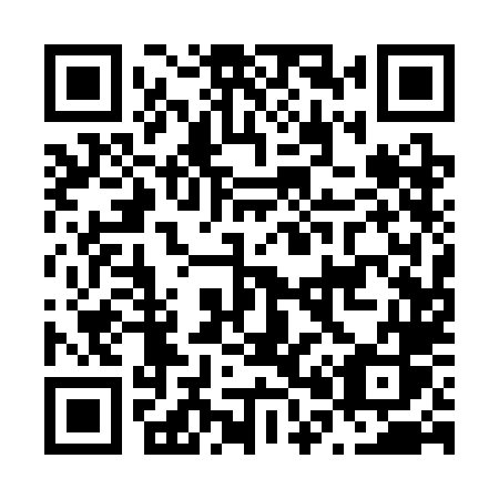 QR code for plate N01 3LS