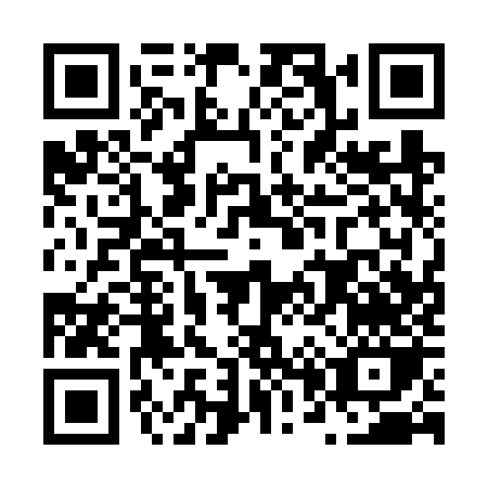 QR code for N016Z