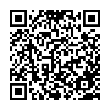 QR code for plate N01 9XF