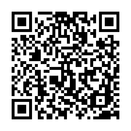 QR code for plate N03 3VC