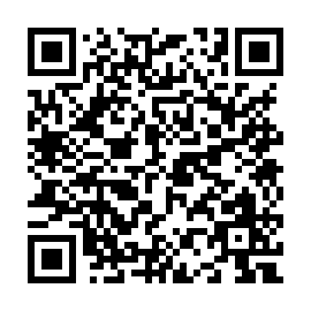 QR code for N038Q