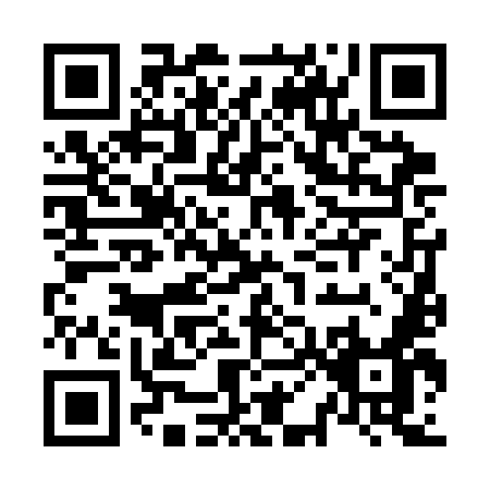 QR code for N063M