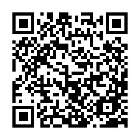 QR code for N101DE