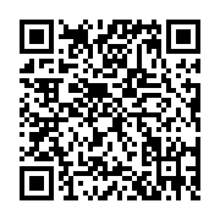 QR code for N110A