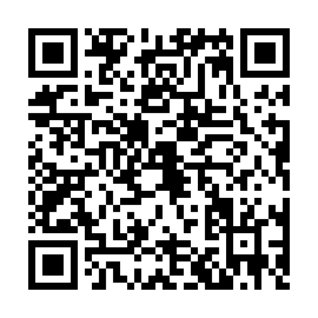 QR code for N110L
