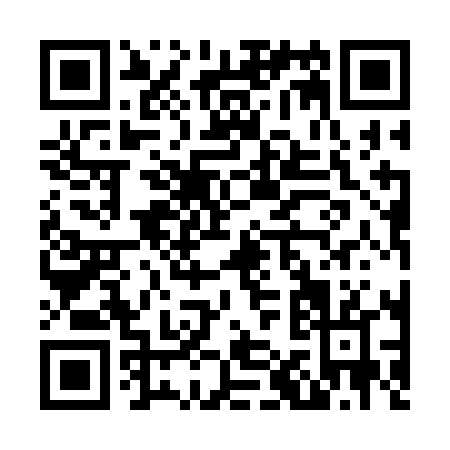 QR code for N113L