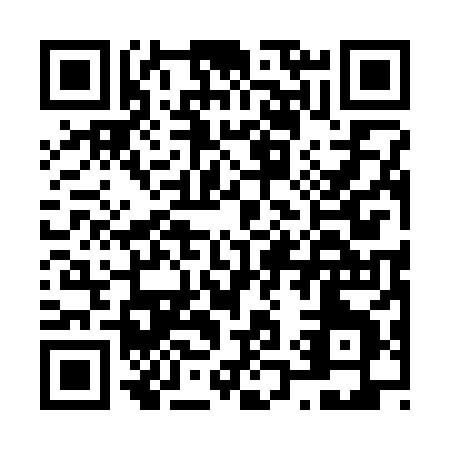 QR code for N113X