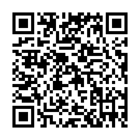 QR code for N115X