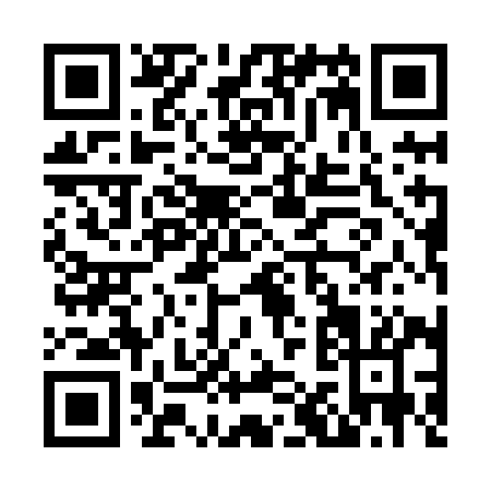 QR code for N118I