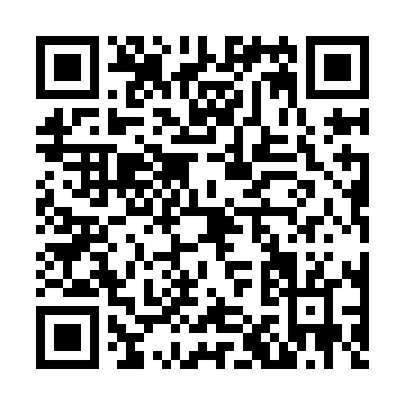 QR code for N119L