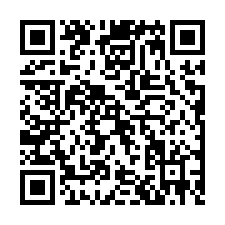 QR code for N121P