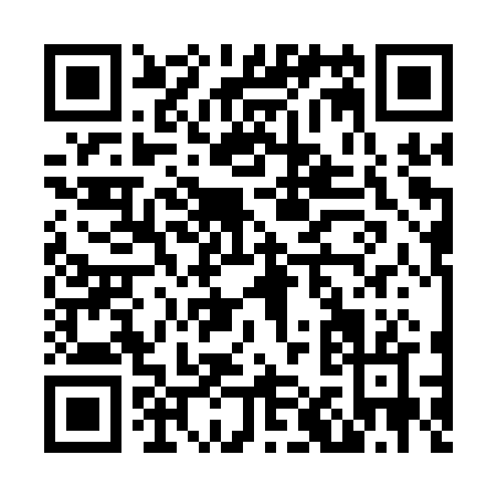 QR code for N131R