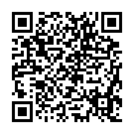 QR code for N133G