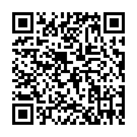 QR code for N153P