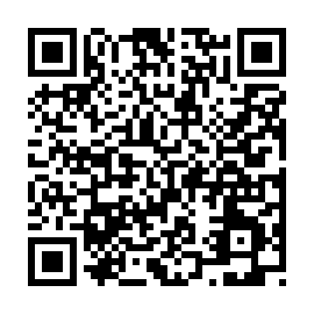 QR code for N161H